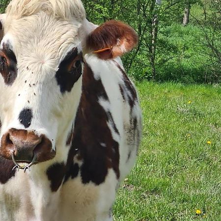 Willa Roulotte A La Ferme Buissonniere La Lande-de-Louge Zewnętrze zdjęcie