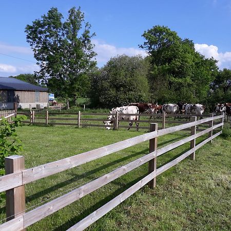 Willa Roulotte A La Ferme Buissonniere La Lande-de-Louge Zewnętrze zdjęcie