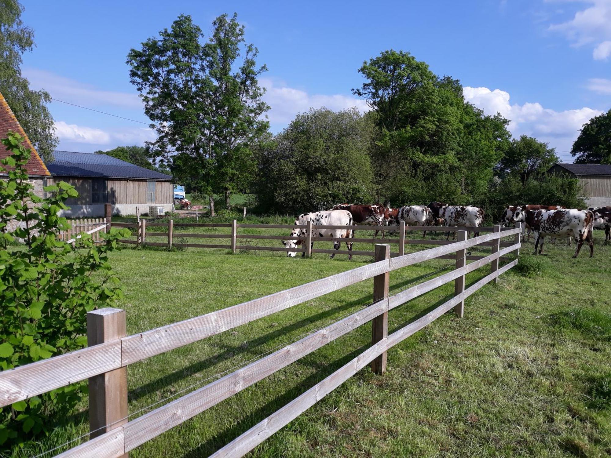 Willa Roulotte A La Ferme Buissonniere La Lande-de-Louge Zewnętrze zdjęcie